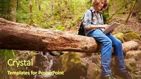  Presentation with tree - Slide set with tree in a forest using background and a  colored foreground