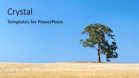  Presentation with australian bush - Presentation theme consisting of tree in a parched australian background and a light blue colored foreground