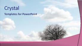  Presentation with tree - Slide set enhanced with tree in a pretty field background and a sky blue colored foreground