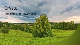  Presentation with gloomy - Beautiful PPT layouts featuring tree-in-field-under-gloomy backdrop and a light gray colored foreground