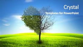  Presentation with heart shape tree - Amazing PPT theme having tree in field with shape backdrop and a teal colored foreground