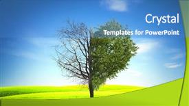  Presentation with heart shape tree - Audience pleasing theme consisting of tree in field with shape backdrop and a teal colored foreground