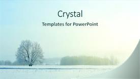  Presentation with lonely - Cool new presentation theme with tree in field backdrop and a cool aqua colored foreground