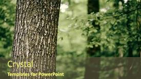  Presentation with save earth - Amazing presentation having tree-in-green-forest-nature backdrop and a tawny brown colored foreground