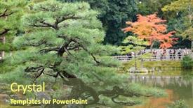 Presentation with kyoto zen - Slide set enhanced with tree in japanese zen garden background and a tawny brown colored foreground