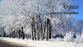  Presentation with snow tree - PPT theme featuring tree in snow near roads background and a light blue colored foreground