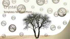  Presentation with ch4 - Slides consisting of tree-in-the-arid-landscape background and a cream colored foreground