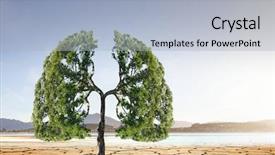  Presentation with green tree - Amazing PPT layouts having tree in the desert mix backdrop and a light blue colored foreground