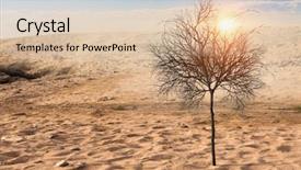  Presentation with tree in sinai desert - Amazing theme having tree in the desert mix backdrop and a lemonade colored foreground