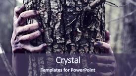  Presentation with scary - Audience pleasing theme consisting of tree in the forest backdrop and a tawny brown colored foreground