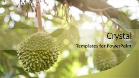  Presentation with fruit tree - Beautiful slide set featuring tree in the garden king backdrop and a yellow colored foreground