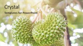  Presentation with fruit tree - PPT theme with tree in the garden king background and a lemonade colored foreground