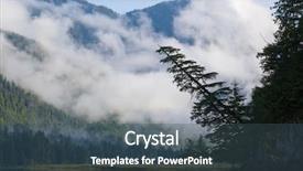  Presentation with rain forest walk way - Slides featuring tree in the great bear background and a ocean colored foreground