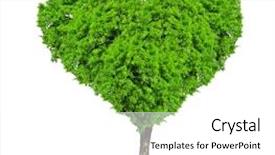  Presentation with heart shape tree - Slide set consisting of tree in the shape heart background and a white colored foreground