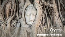  Presentation with fig tree - Slide set with tree in wat mahatat ayutthaya background and a gray colored foreground