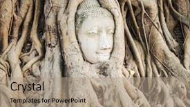  Presentation with fig tree - Theme consisting of tree in wat mahathat ayutthaya background and a coral colored foreground