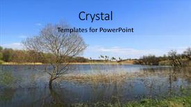  Presentation with spring water - Colorful PPT theme enhanced with tree in water near lake backdrop and a  colored foreground