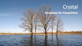  Presentation with tree - Colorful slide deck enhanced with trees river - tree in water backdrop and a teal colored foreground