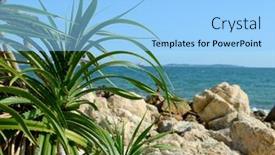  Presentation with tree - Slide deck having tree-is-called-pandanus-tectorius background and a light blue colored foreground