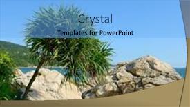  Presentation with tree - Cool new slides with tree-is-called-pandanus-tectorius backdrop and a light blue colored foreground