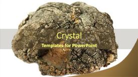  Presentation with termite - Slide set enhanced with tree-knot-a-old-knot background and a tawny brown colored foreground