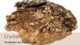  Presentation with termite - Presentation consisting of tree-knot-a-old-knot background and a coral colored foreground