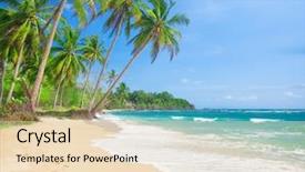  Presentation with coconut tree - Beautiful PPT theme featuring tree langob beach malapascua island backdrop and a lemonade colored foreground