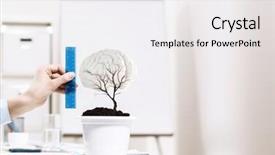  Presentation with measuring - Colorful PPT layouts enhanced with tree measurement - close up of human hand backdrop and a white colored foreground