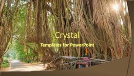  Presentation with banyan tree - PPT layouts enhanced with tree-of-life-amazing-banyan background and a tawny brown colored foreground