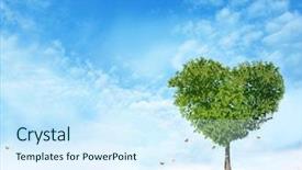  Presentation with love heart - Presentation theme having tree of love background and a sky blue colored foreground