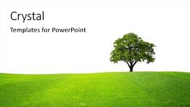  Presentation with green tree - Cool new slide deck with tree on green field backdrop and a white colored foreground