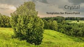  Presentation with gloomy - Theme consisting of tree-on-hill-with-view background and a coral colored foreground