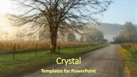  Presentation with tree - Beautiful PPT theme featuring tree on hyatt lane backdrop and a tawny brown colored foreground