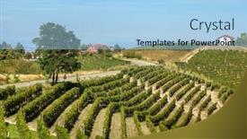  Presentation with green hills - Theme enhanced with tree-on-narrow-rural-road background and a light blue colored foreground