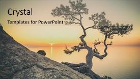  Presentation with tree - Amazing PPT layouts having tree on rock in crimea backdrop and a coral colored foreground