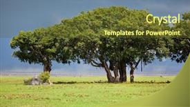  Presentation with savannah - Theme with tree on savannah landscape ngorongoro crater tanzania africa background and a tawny brown colored foreground