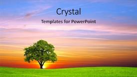  Presentation with oak tree - Amazing PPT theme having tree on the field backdrop and a light blue colored foreground