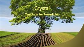  Presentation with hill - Colorful slides enhanced with tree on the hill backdrop and a tawny brown colored foreground