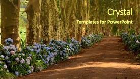  Presentation with path - Theme having path with tree on two background and a tawny brown colored foreground