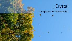  Presentation with autumn blue - Beautiful PPT theme featuring tree over deep blue sky backdrop and a light blue colored foreground