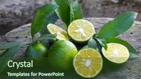  Presentation with lemon - Audience pleasing presentation consisting of tree plantation - lemon harvest backdrop and a tawny brown colored foreground