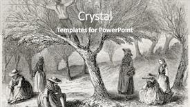  Presentation with olive tree - Colorful theme enhanced with tree plantation - old illustration of olive harvesting backdrop and a gray colored foreground