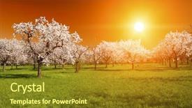  Presentation with sun rising over north america - Amazing slide set having tree plantation - stunning vivid sunset backdrop and a tawny brown colored foreground