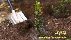  Presentation with tree planting - Amazing PPT layouts having tree planting backdrop and a tawny brown colored foreground