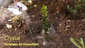  Presentation with tree planting - 