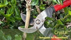  Presentation with ready - Cool new presentation theme with tree-pruning-sheers-getting-ready backdrop and a tawny brown colored foreground