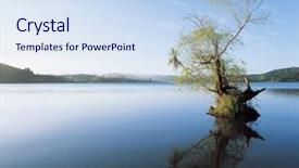  Presentation with reflecting - Colorful slides enhanced with tree reflecting on still water backdrop and a sky blue colored foreground
