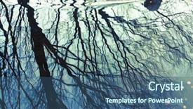  Presentation with reflecting - Beautiful presentation theme featuring tree reflecting on water backdrop and a ocean colored foreground