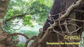  Presentation with tree root - PPT theme with tree-root-near-green-natural background and a tawny brown colored foreground