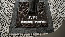  Presentation with tree roots - Presentation theme featuring tree roots growing in square background and a  colored foreground